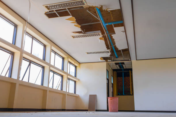 Best Sewage cleanup and water damage restoration  in Greenback, TN