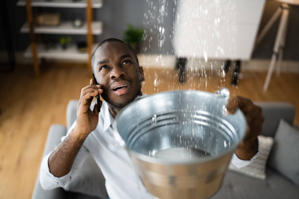Best Water damage restoration near me  in Greenback, TN