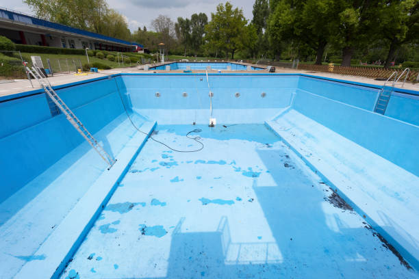 Best Water damage restoration mold remediation  in Greenback, TN