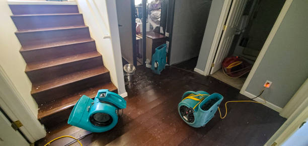 Best Flood restoration services  in Greenback, TN