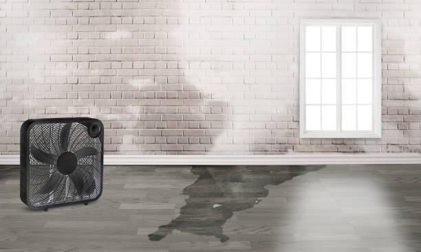 Best Commercial water damage restoration  in Greenback, TN