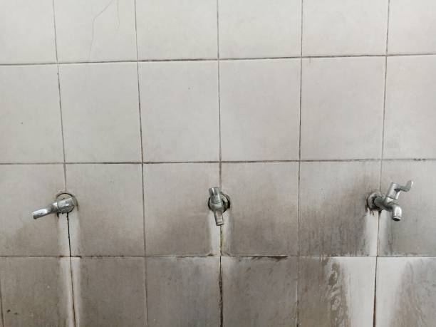 Best Flood damage cleanup  in Greenback, TN