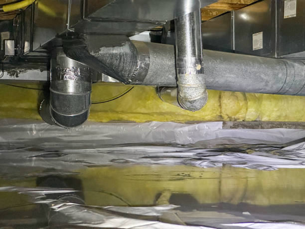 Best Water damage contractors near me  in Greenback, TN