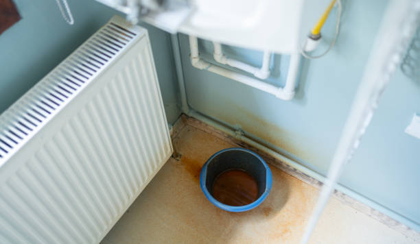 Best Water damage restoration company  in Greenback, TN
