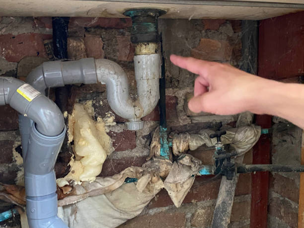 Best Water damage restoration experts  in Greenback, TN