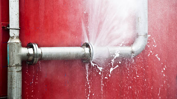 Best 24/7 water damage repair  in Greenback, TN