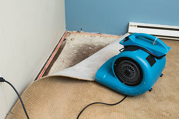 Best Ceiling water damage repair  in Greenback, TN